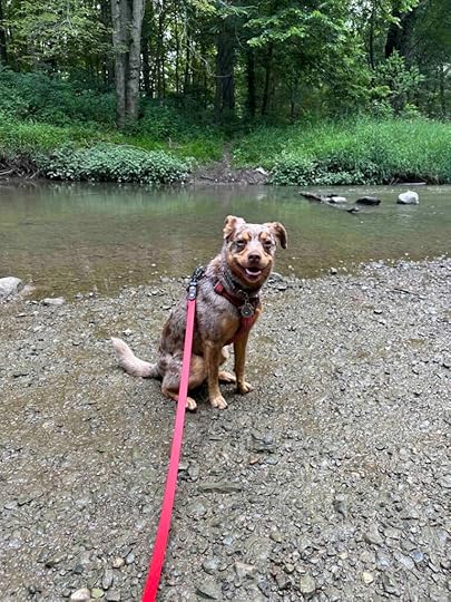 Near the Ottawa River