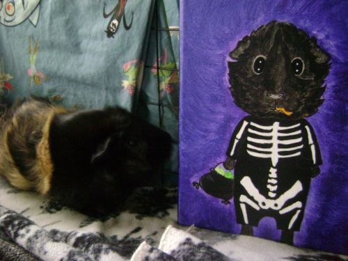 Rachel Smith guinea pig Hen Wen & guinea pig painting of Hen Wen