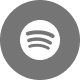 Spotify icon