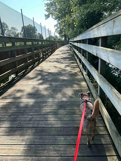 boardwalk 1 over the Maumee River