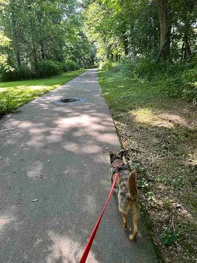 into the woods on the River Greenway