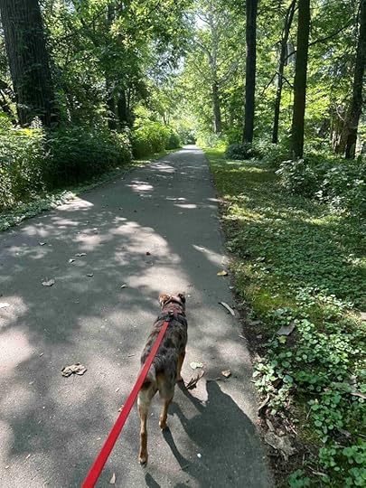 into the woods on the River Greenway