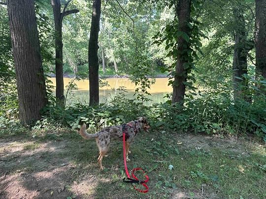view of Maumee River