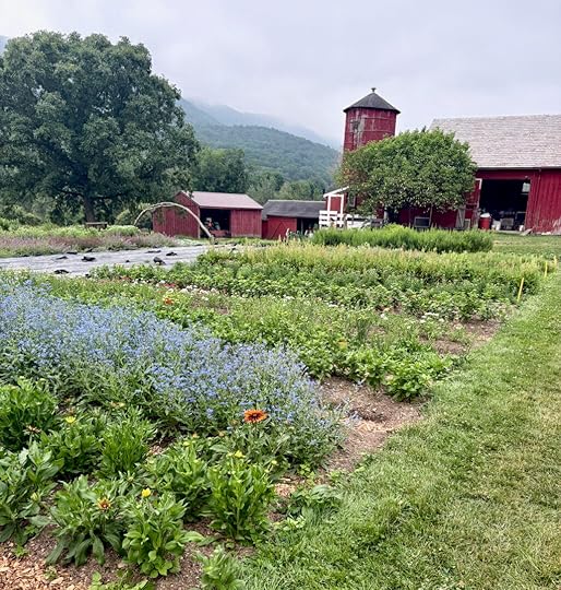 Picture of a farm in rural western MA
