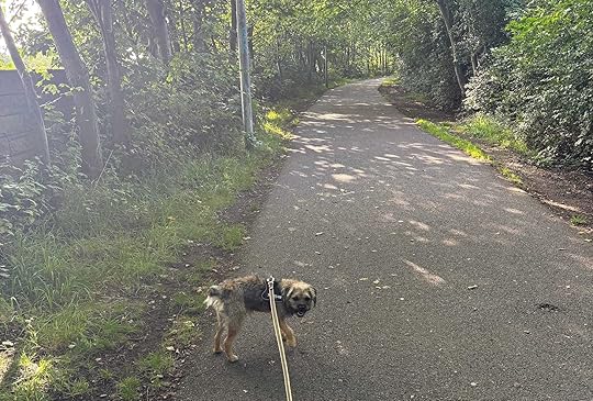 Daynote - Thu 24 Jul