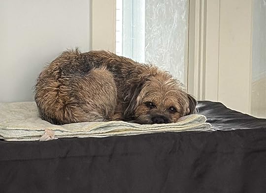 Daynote - Fri 25 Jul