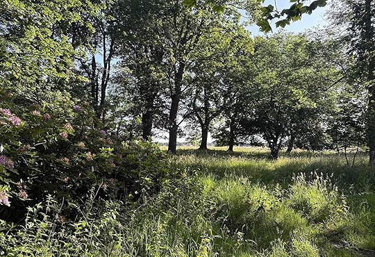 Daynote - Fri 11 Jul