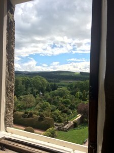 forest view from Crathes Castle window: things I stole from castles