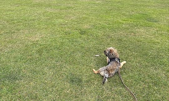 Daynote - Mon 28 Jul