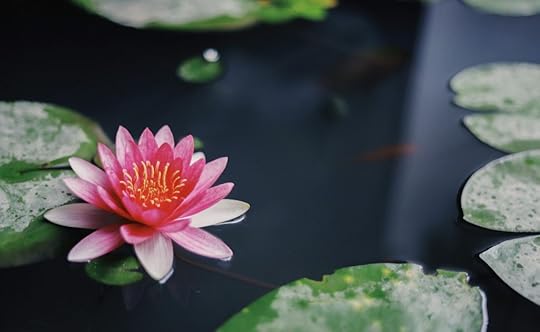 Fast of the Dormition