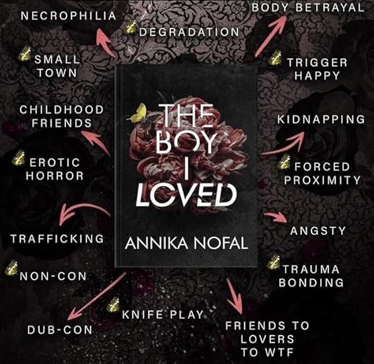 The-Boy-I-Loved-Tropes