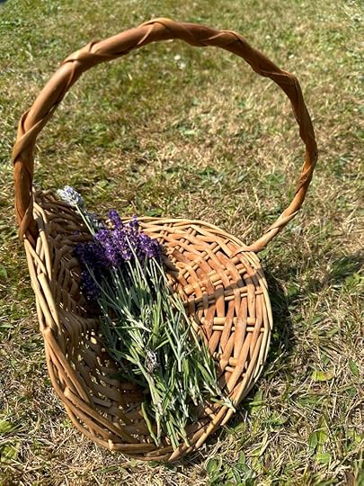 Sprigs of lavender in a small brown basket (without a pink ribbon)