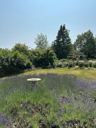 Lavender, birdbath, green trees, blue sky