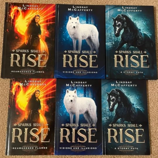 Picture of my books Reawakened Flames, Visions and Illusions, and A Stormy Path in hardcover and paperback.