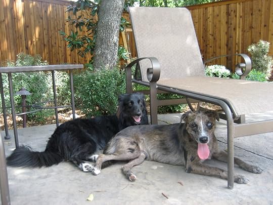 Anna and Karlie lounging in Texas