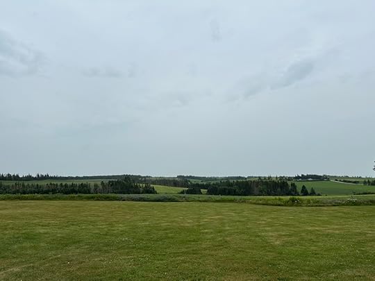 Green fields, trees, grey sky