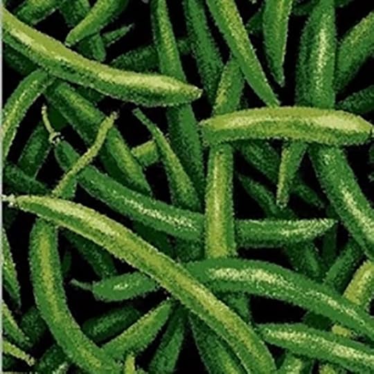 Farmers Market Fabrics & Mesh Tote at Nancy Zieman Productions at ShopNZP.com