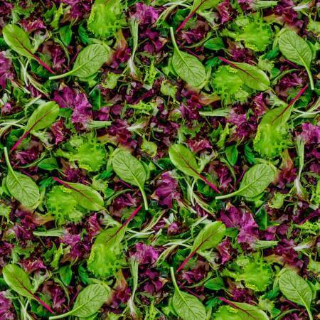 Farmers Market Fabrics & Mesh Tote at Nancy Zieman Productions at ShopNZP.com