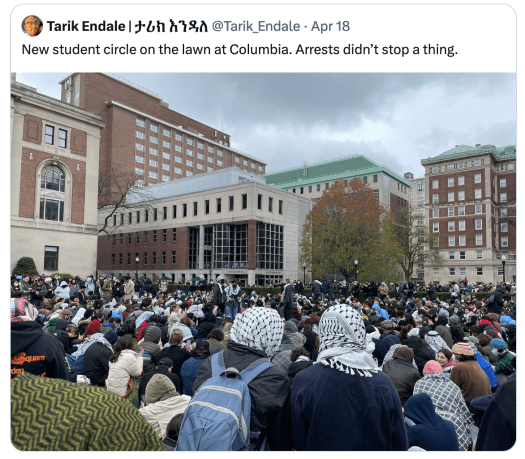 Tarik Endale | ??? ???? Apr 18 @Tarik_Endale New student circle on the lawn at Columbia. Arrests didn’t stop a thing. / hundreds of students, many in kefffiyeh, gathered on the lawn at Columbia University
