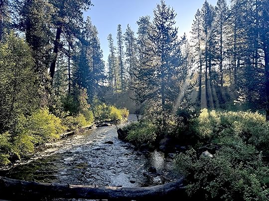 Morningsunshinetumalocreekaugust25