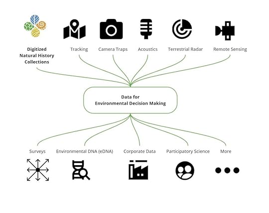 Diagram showing digitized natural history collections as one of several inputs into environmental decision making.