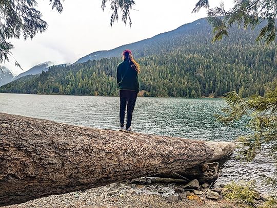 Cotopaxi envo fleece - on fallen tree