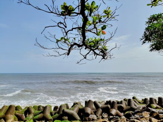Thangasserry Breakwater Tourism Park. Under the shade of an Indian almond tree.