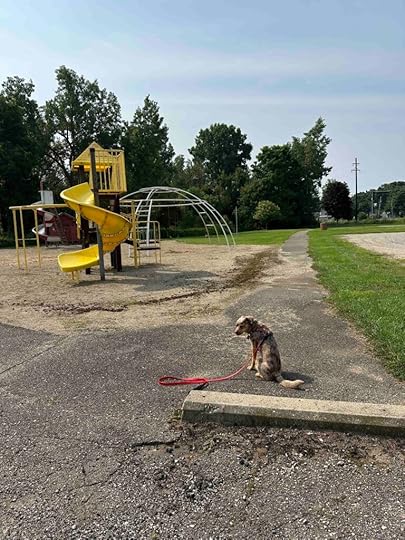 Firemen's Park playground equipment