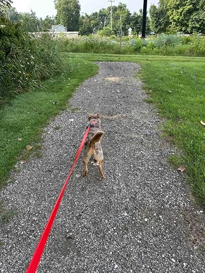 heading to the Litchfield Nature Trail
