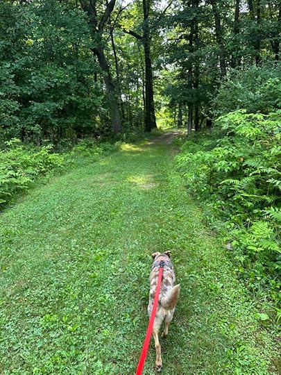 Litchfield Nature Trail