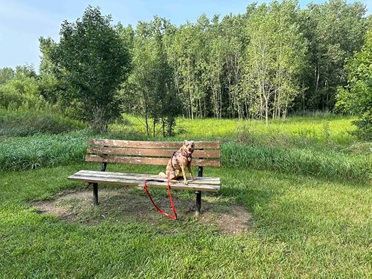 Great spot for a rest