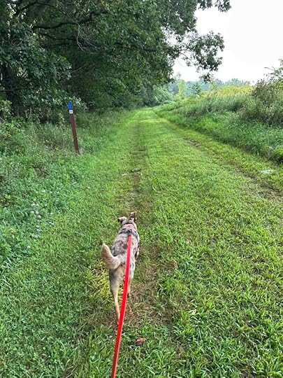 back on the mowed grass prairie trail