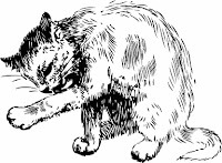 Panzer the cat graphic