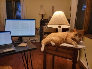 A manuscript appears on the screens of a laptop and monitor while a yellow tiger cat rests on nearby table.