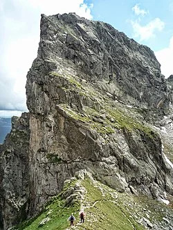 Злия зъб - тур Варника