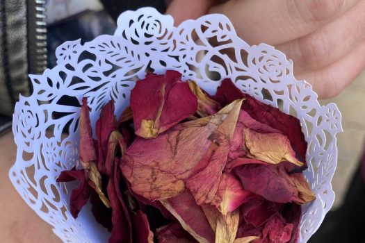 harvest in Scotland - a lacy white cone of dark pink rose petal confetti