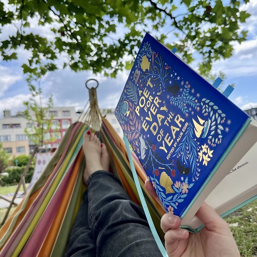 A Poet for Every Day of the Year by Allie Esiri