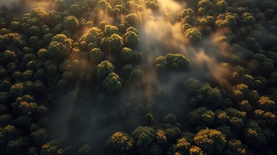 hidden structures beneath dense forests