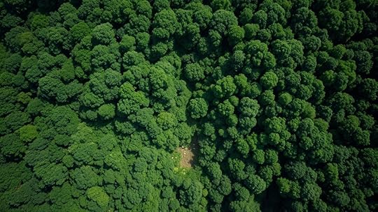 vegetation and terrain challenges