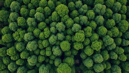next generation forest mapping