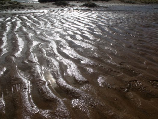 philorth sands