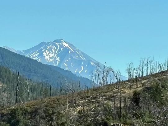 IMG_8477.jpeg