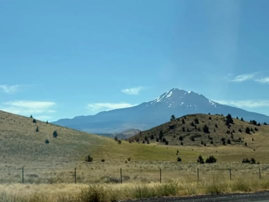 IMG_8509.jpeg