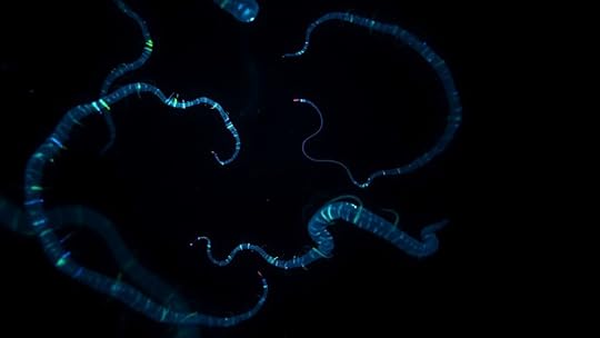 deep sea research challenges