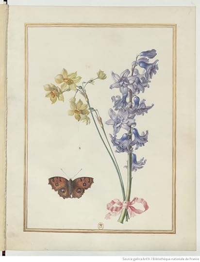 Recueil de dessins de fleurs / Madeleine-Françoise Basseporte