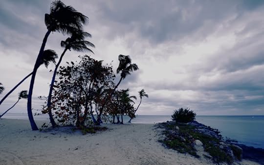 hurricane on a beach