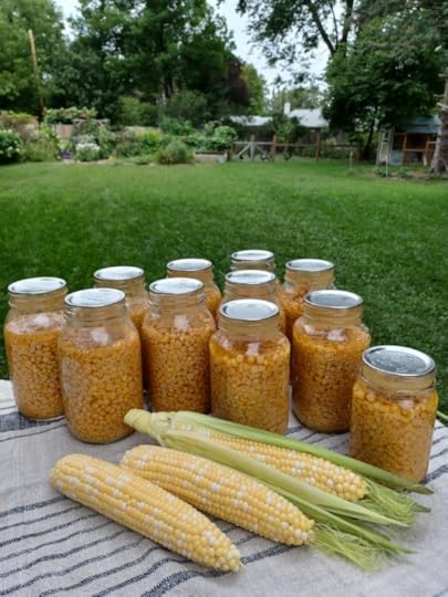 Jars of corn that have been canned with three ears of corn on a table