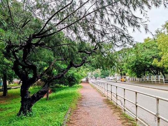 The Walkway Around Asramam Maidan.