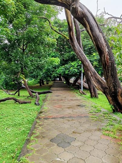 Rain-drenched Pathways of Asramam Maidan.