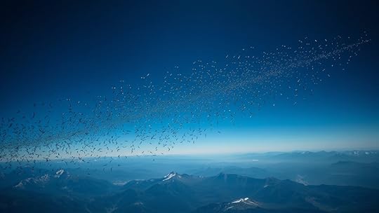 satellite tracking limitations persist